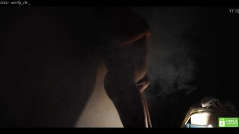Media: emilybatee Chaturbate 2023-12-17 21:44:00
