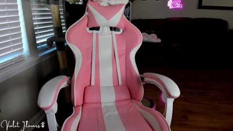 Media: violetttflowers Chaturbate 2023-12-17 16:32:00