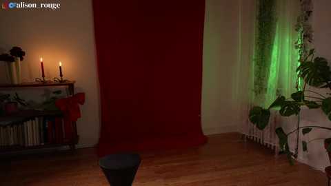 Media: alisonrouge Chaturbate 2023-12-18 02:00:00