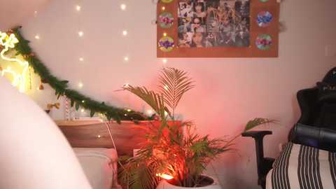 Media: bunnybonn1e Chaturbate 2023-12-18 14:53:00