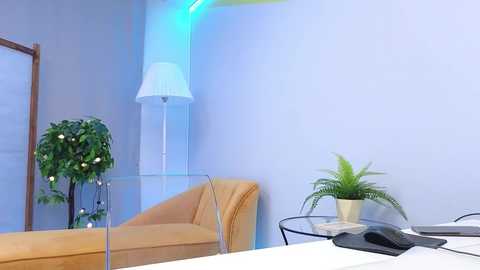 Media: lovlybambi Chaturbate 2023-12-18 13:43:00