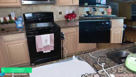 Media: crimsonkitten Chaturbate 2023-12-19 07:36:00