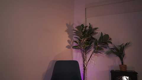 Media: letiziafulkers1 Chaturbate 2023-12-20 00:48:00