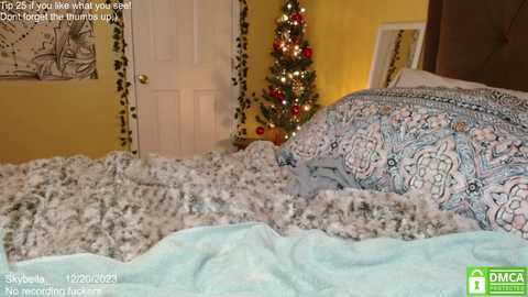Media: skybella_ Chaturbate 2023-12-20 13:44:00