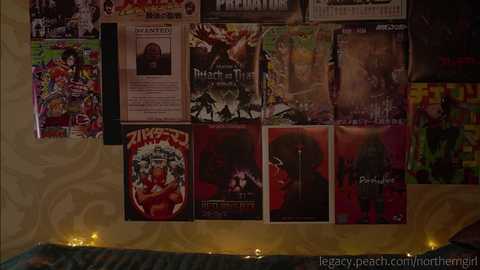 Media: _northern_girl_ Chaturbate 2023-12-22 15:34:00