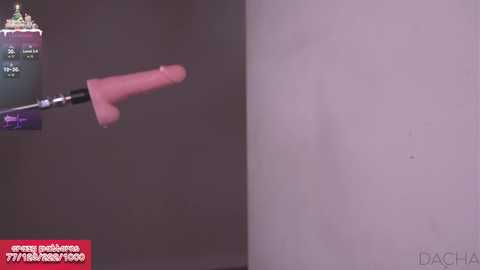 Media: islandladies Chaturbate 2023-12-22 09:59:00