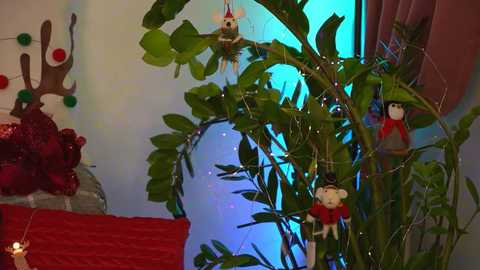 Media: sweety_rinushka_ Chaturbate 2023-12-22 20:53:00