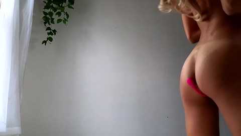 Media: littlegreekflower Chaturbate 2023-12-23 15:56:00