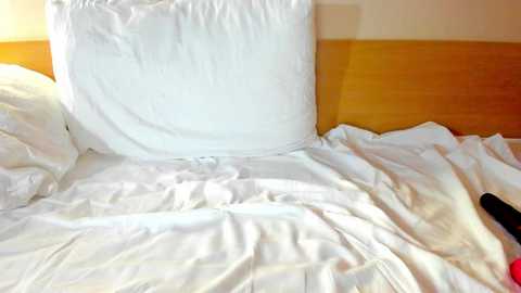 Media: sleepycode002 Chaturbate 2023-12-24 02:26:00