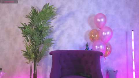 Media: angelina_new Chaturbate 2023-12-25 05:10:00