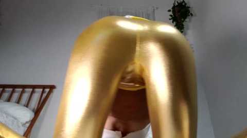 Media: littlegreekflower Chaturbate 2023-12-25 09:54:00