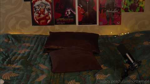 Media: _northern_girl_ Chaturbate 2023-12-26 18:40:00