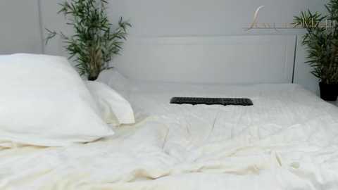 Media: sexycreolyta4u Chaturbate 2023-12-27 00:55:00
