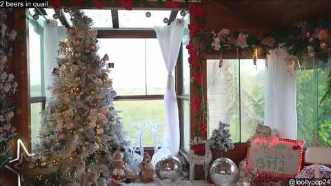 Media: loollypop24 Chaturbate 2023-12-29 20:55:00