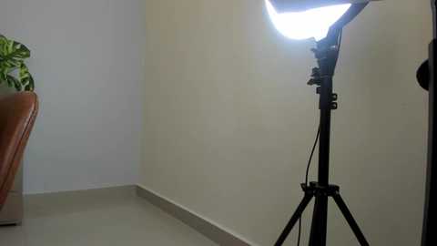 Media: joss_caprice Chaturbate 2023-12-30 15:13:00