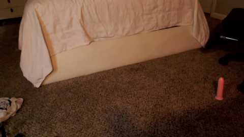 Media: thebrentsavage Chaturbate 2023-12-30 21:00:00