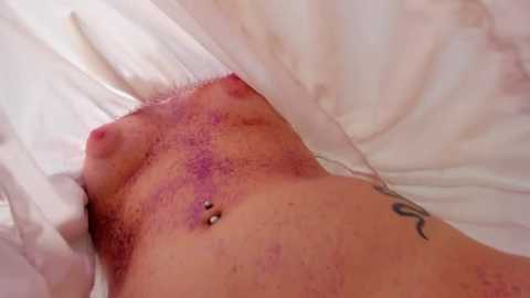 Media: april_palge Chaturbate 2023-12-31 12:12:00