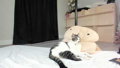 Media: fit_american_girl Chaturbate 2023-12-31 07:42:00