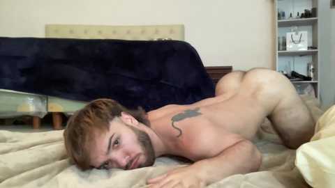 midgethotx @ chaturbate on 20231231