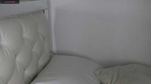 Media: wendy_daniela Chaturbate 2023-12-31 18:04:00