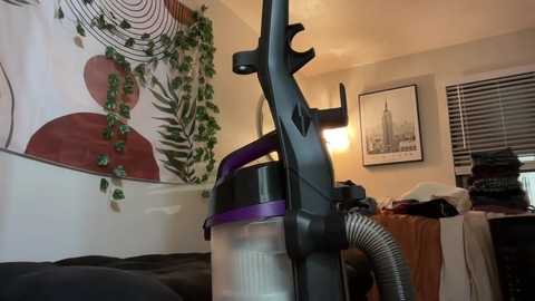 Media: cxbraj Chaturbate 2024-01-01 00:23:00