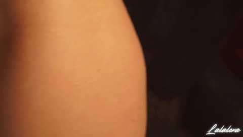 Media: lalalexa Chaturbate 2024-01-01 02:04:00