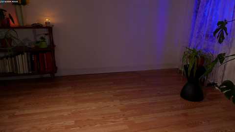Media: alisonrouge Chaturbate 2024-01-03 02:48:00