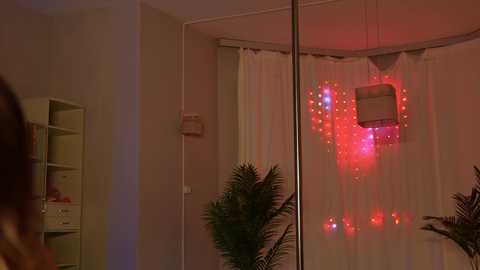 Media: kittycaitlin Chaturbate 2024-01-03 03:47:00