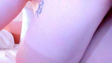 Media: sleepycode002 Chaturbate 2024-01-03 01:12:00