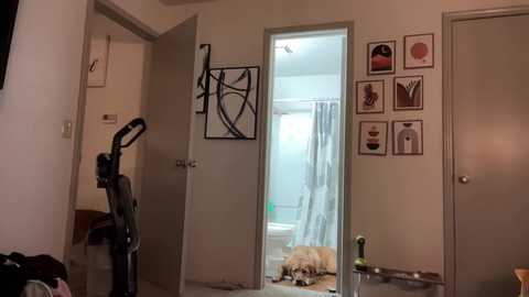 Media: cxbraj Chaturbate 2024-01-04 02:09:00