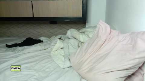 Media: latinella Chaturbate 2024-01-04 08:54:00