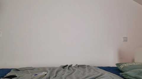 Media: nicky_couple Chaturbate 2024-01-04 19:20:00