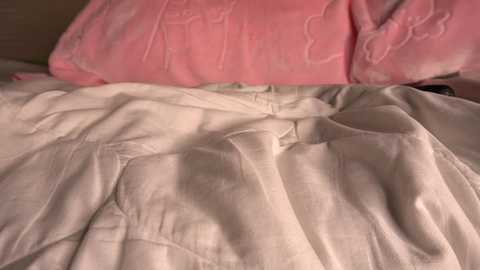 Media: princessasiana Chaturbate 2024-01-04 10:07:00