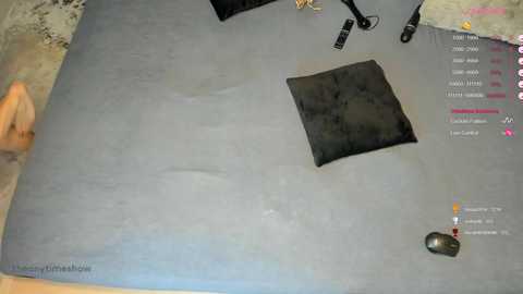 Media: theanytimeshow Chaturbate 2024-01-04 12:50:00