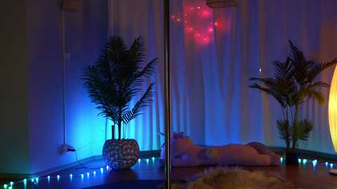 Media: kittycaitlin Chaturbate 2024-01-06 02:54:00