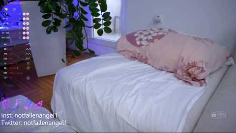 Media: notfallenangel Chaturbate 2024-01-07 08:24:00