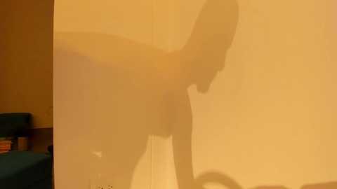 Media: sexxxmaffia69 Chaturbate 2024-01-07 08:57:00