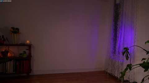 Media: alisonrouge Chaturbate 2024-01-08 03:35:00