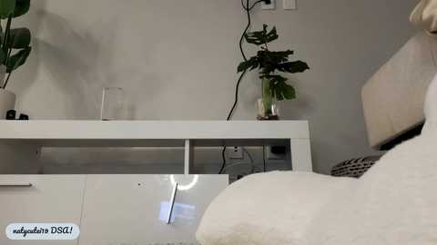 Media: _natycutei19 Chaturbate 2024-01-09 06:31:00