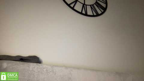 Media: angel_from_sky Chaturbate 2024-01-09 11:08:00