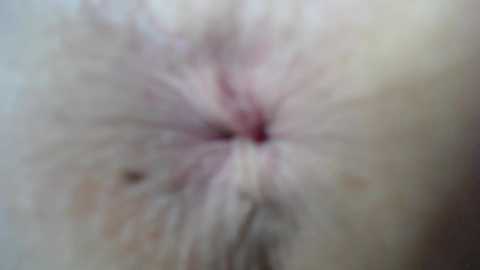 Media: courtney_luv Chaturbate 2024-01-10 13:50:00