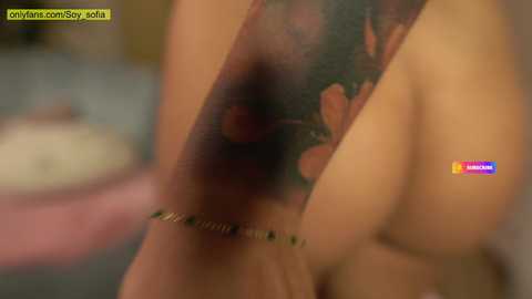 Media: soy_sofia Chaturbate 2024-01-11 20:48:00