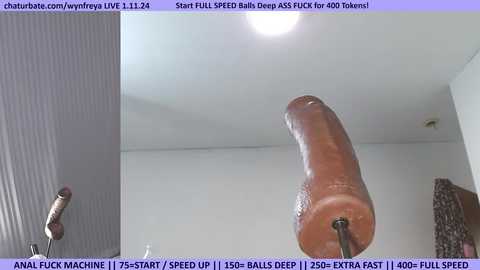 Media: wynfreya Chaturbate 2024-01-11 16:15:00