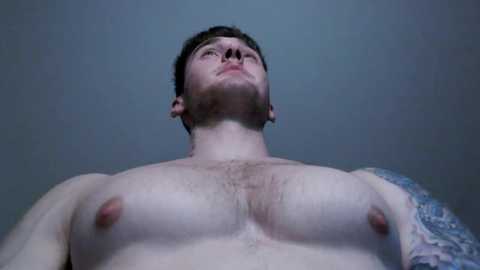 Media: thebrentsavage Chaturbate 2024-01-13 02:59:00