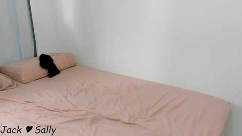 Media: homeofsex_ Chaturbate 2024-01-14 13:16:00