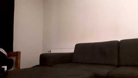 Media: skinnyguywithbigd Chaturbate 2024-01-14 16:19:00