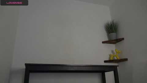 Media: english_rose__ Chaturbate 2024-01-15 14:42:00