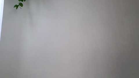 Media: littlegreekflower Chaturbate 2024-01-15 17:29:00