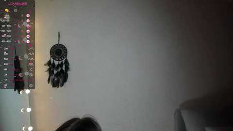 Media: euphoria_life Chaturbate 2024-01-16 01:21:00