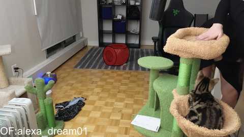 Media: alexa_dream Chaturbate 2024-01-17 01:49:00